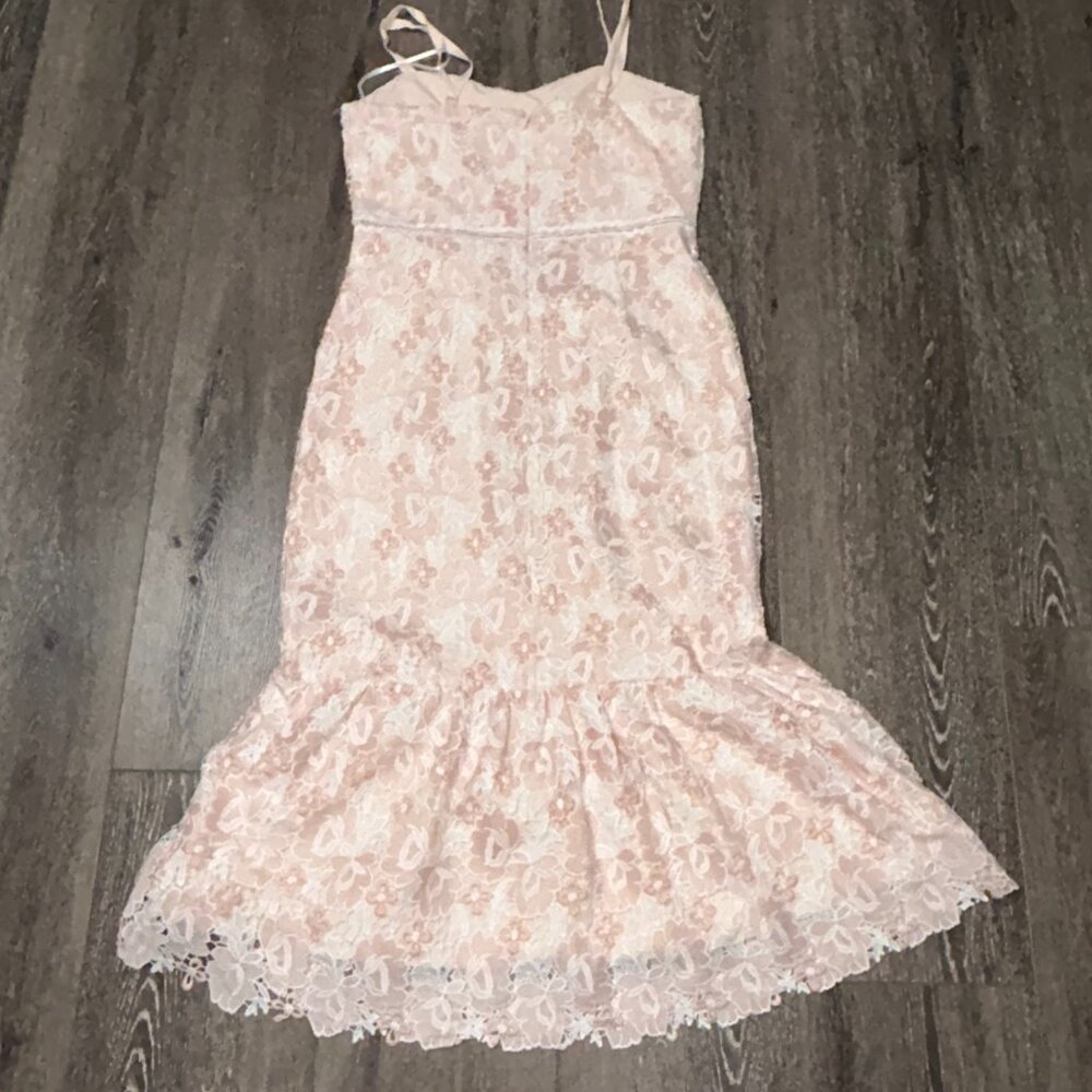 Arose Studio, Inc. Women's Sleeveless Lace Lined Dress Pink White Size L Large - Picture 6 of 6